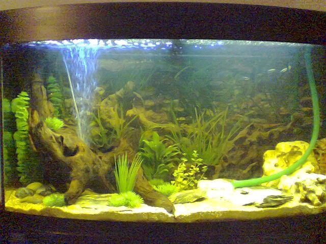 Image003.jpg