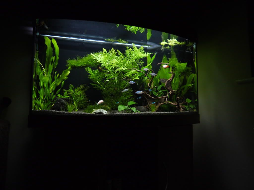 P1000080.jpg