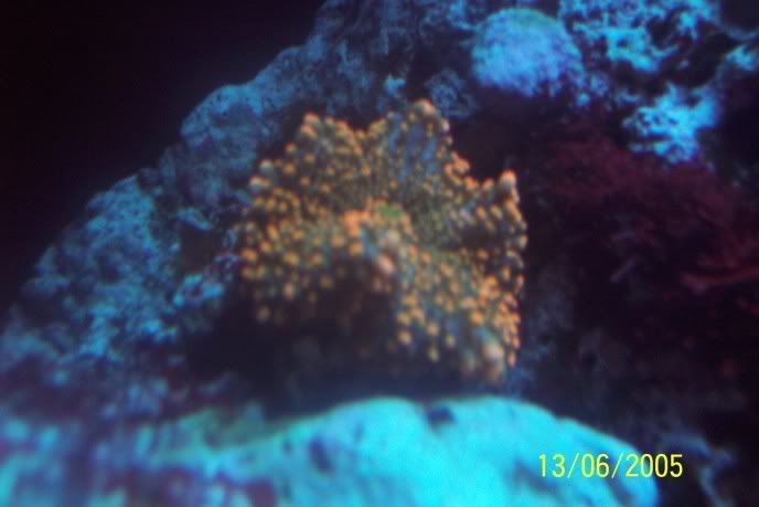 100_1376.jpg