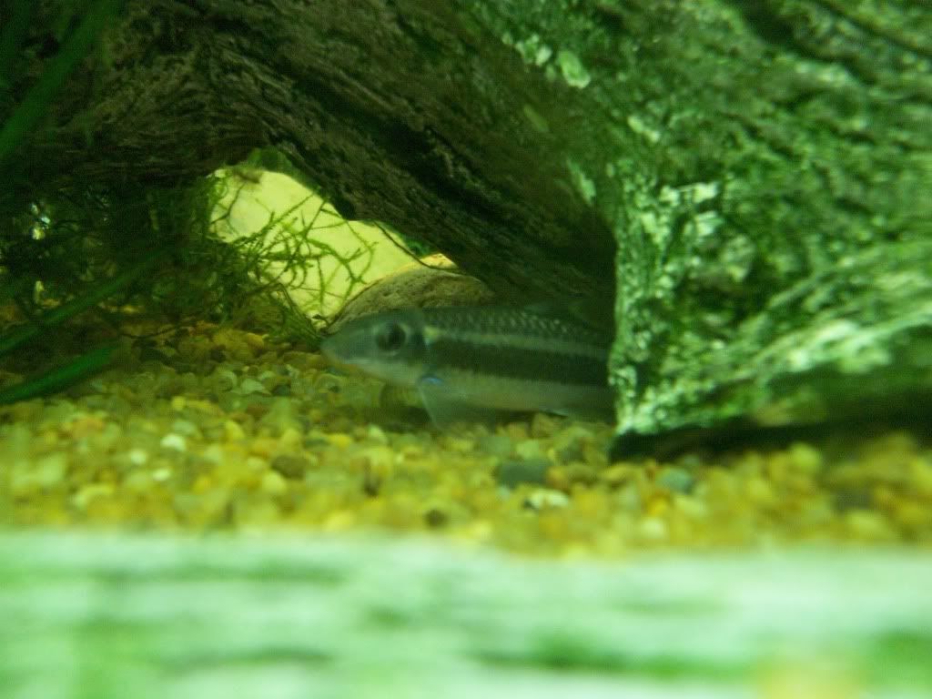 100_0124.jpg