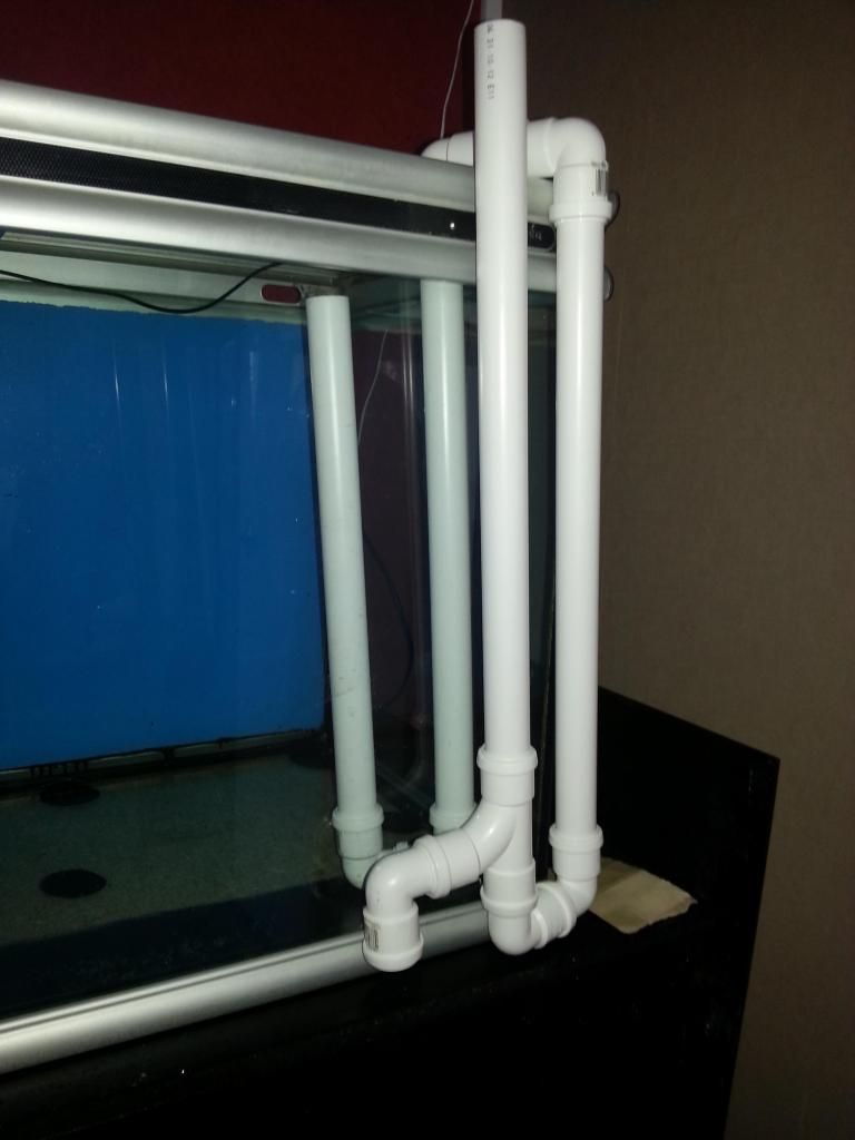 20130207_100542_zps679b4028.jpg