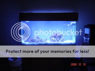 DSC010541.jpg