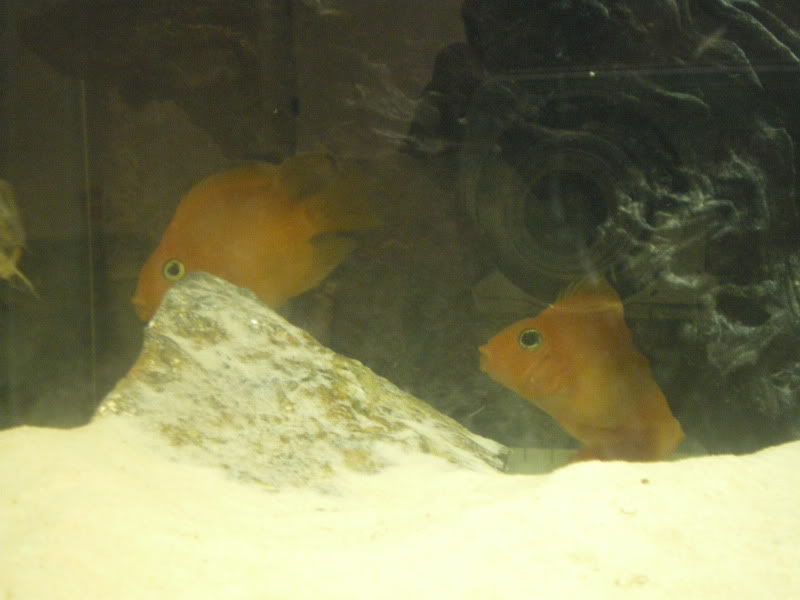 IMGP0021.jpg