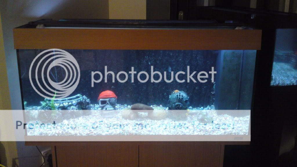 03032012534.jpg