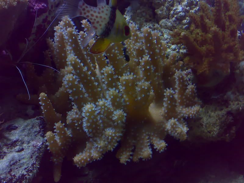 07012007094.jpg