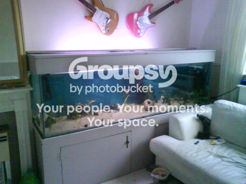 004-1.jpg