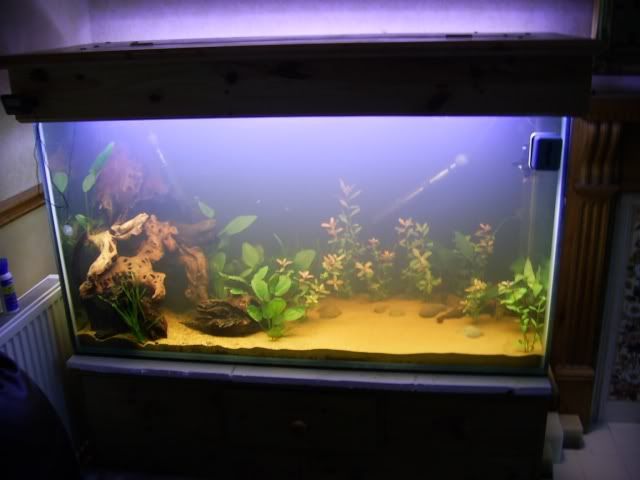 grow001.jpg