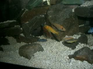 Picture084.jpg