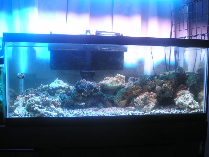 P1010056.jpg