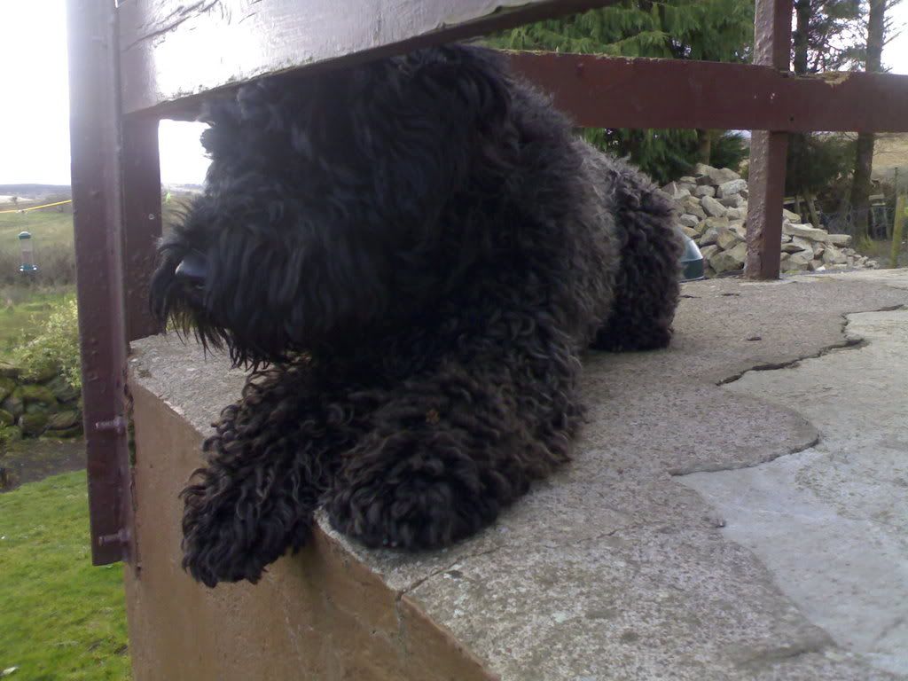 22032008239.jpg