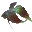 Han01.gif