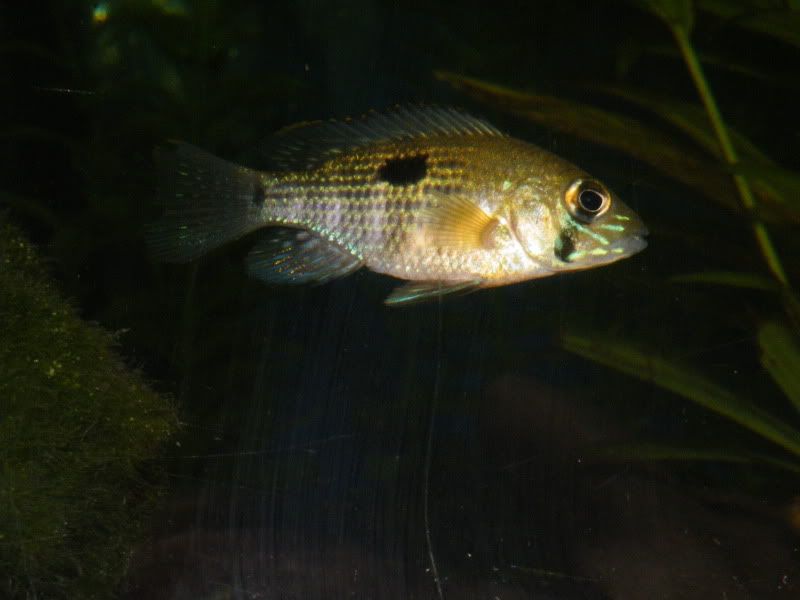DSCF4245.jpg