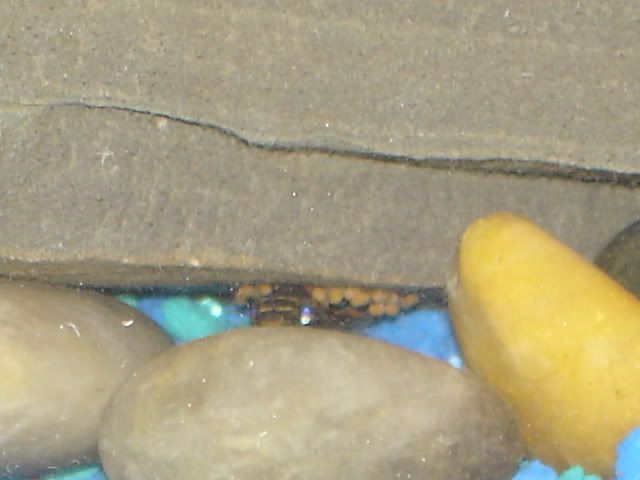 DSC02744.jpg