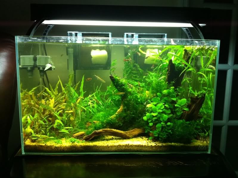 aac566d2.jpg