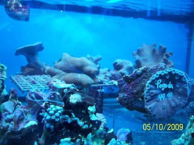 100_6142.jpg