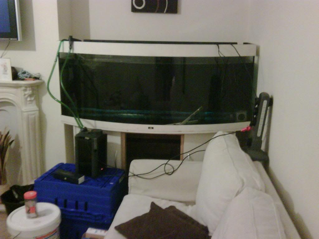 IMG00076-20090418-2204.jpg