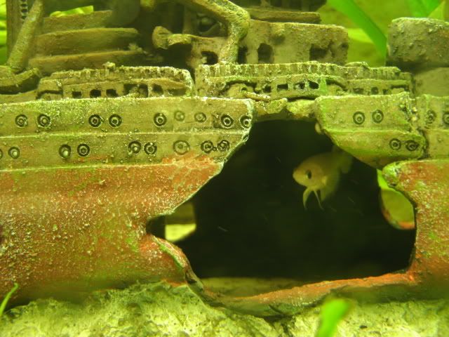 GEDC2098.jpg