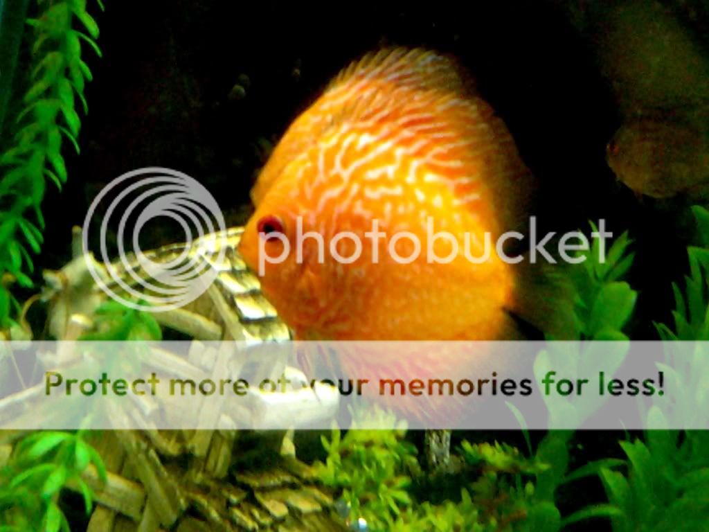 IMG_20120108_115505.jpg
