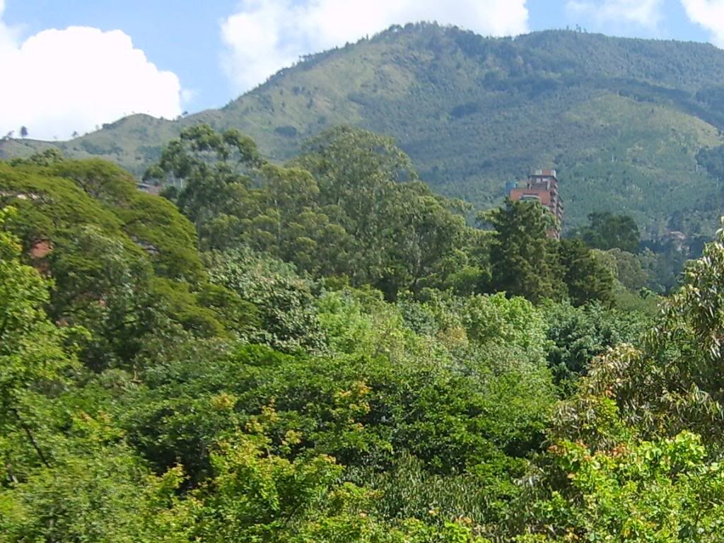 S5007726.jpg