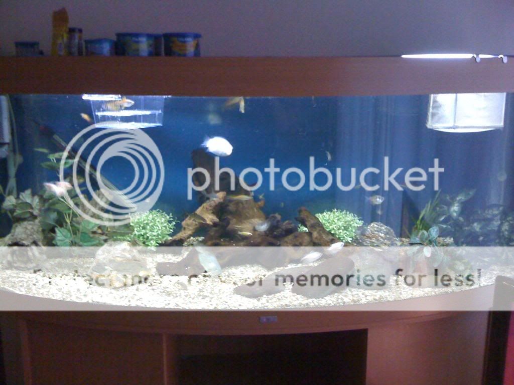 059-3.jpg