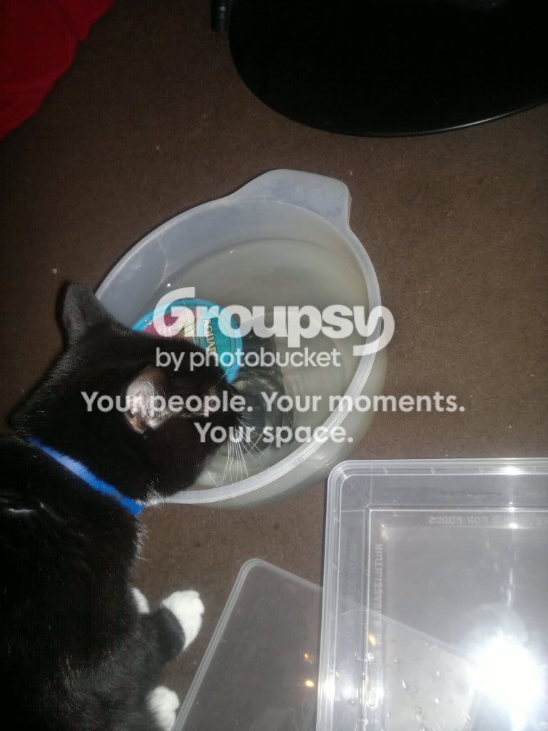 20111124465.jpg