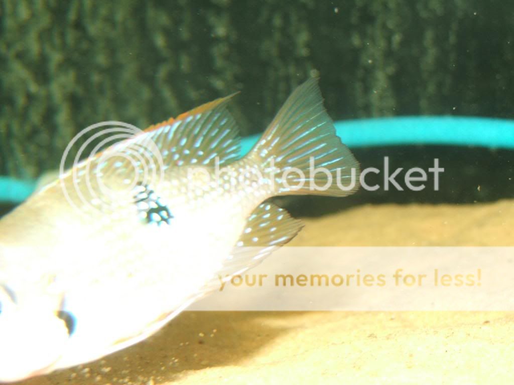 DSCF7266.jpg