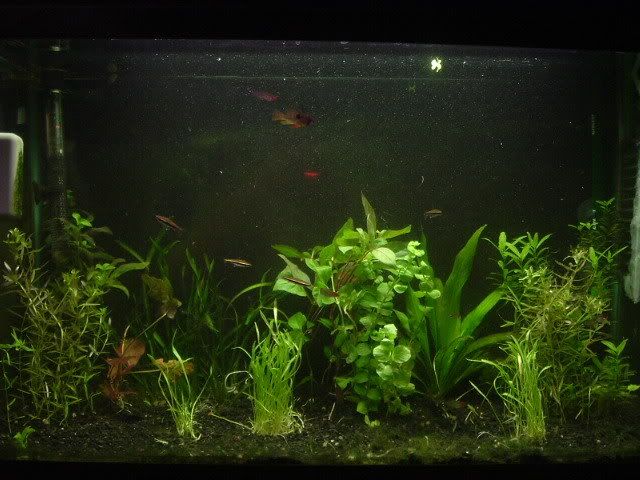 DSCF1500.jpg