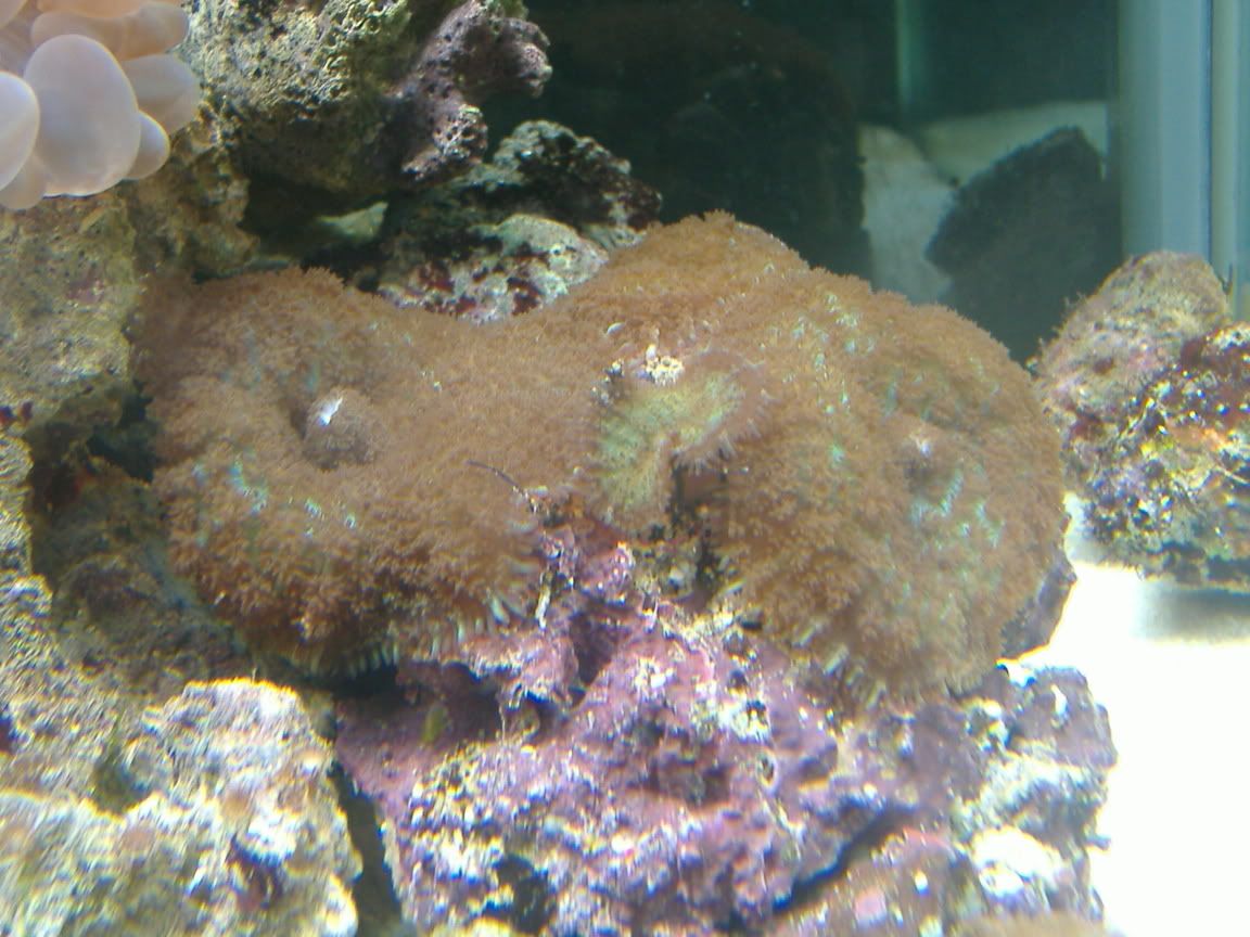 DSCF0507.jpg