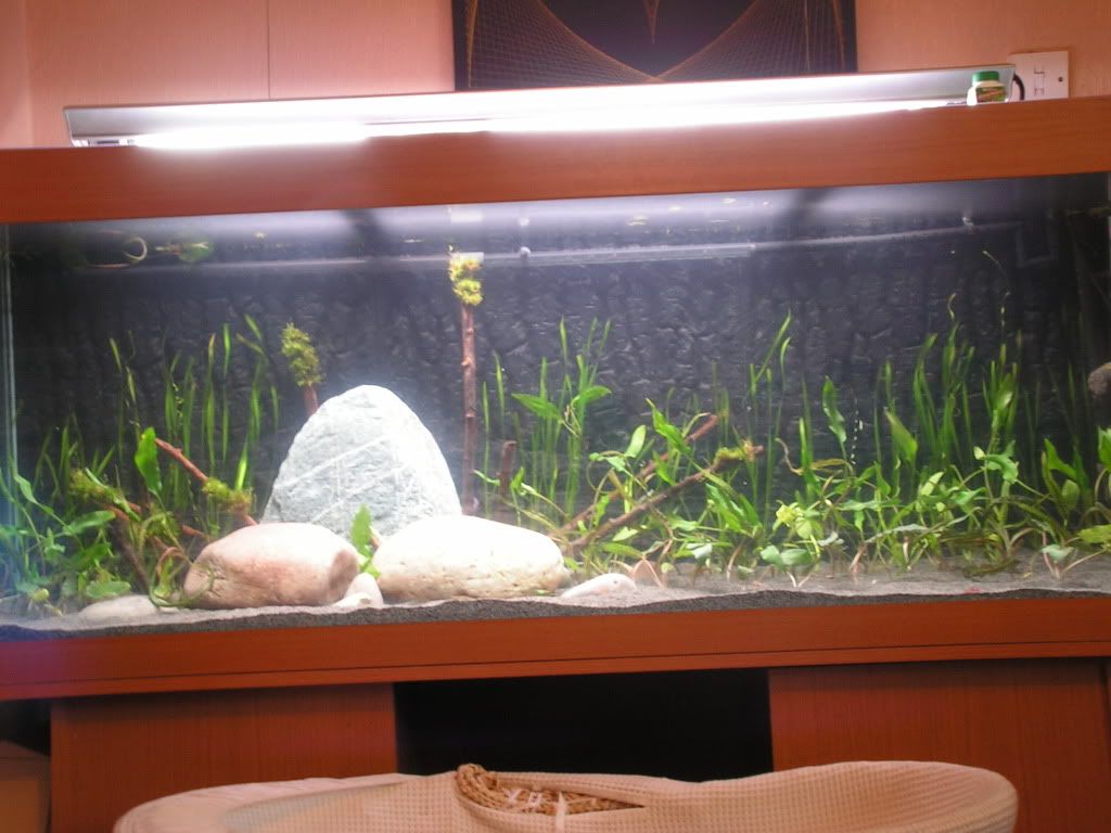PICT1219.jpg