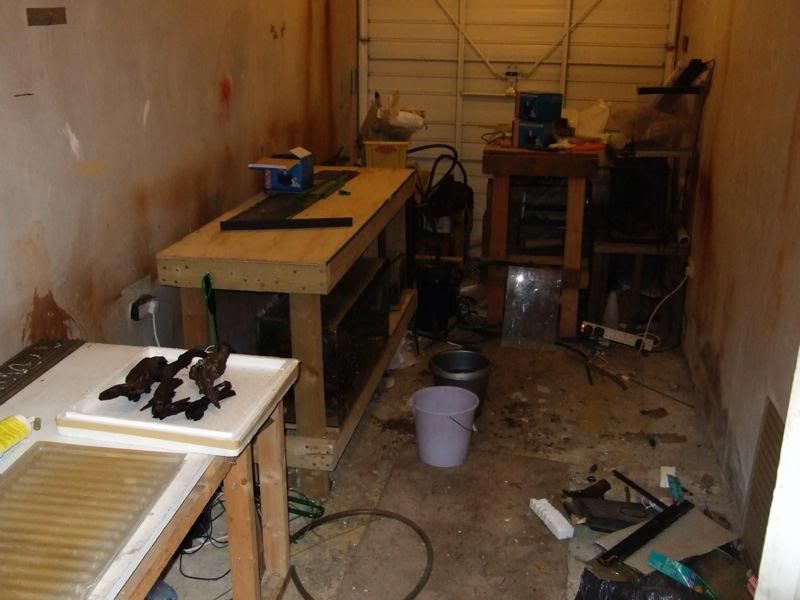DSCF2609.jpg