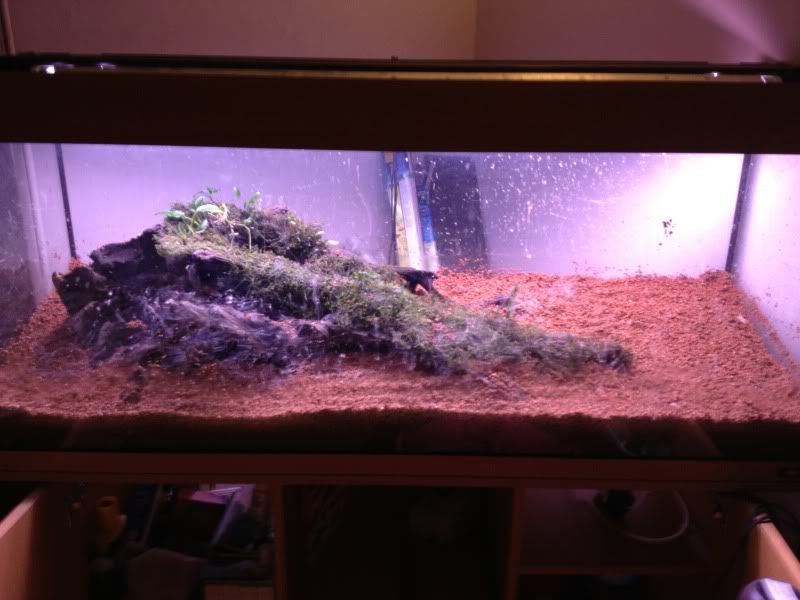 tank042.jpg
