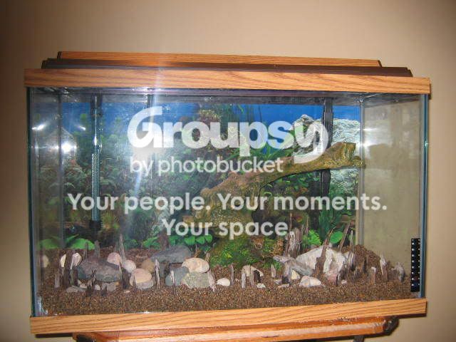aquariumbefore002.jpg