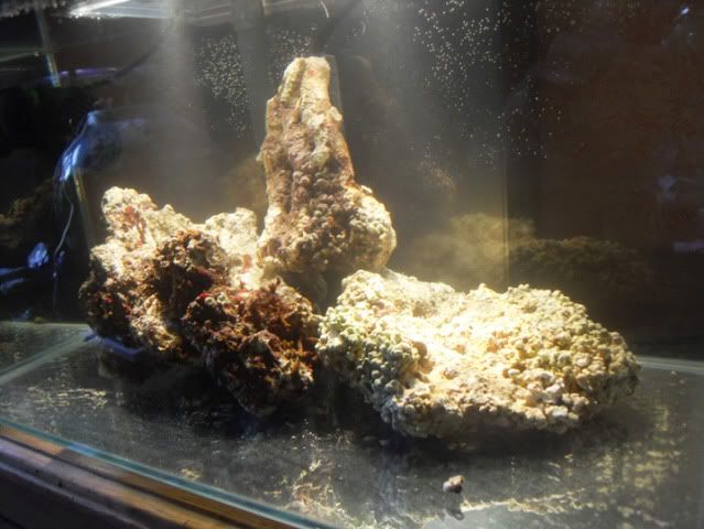 e5.jpg