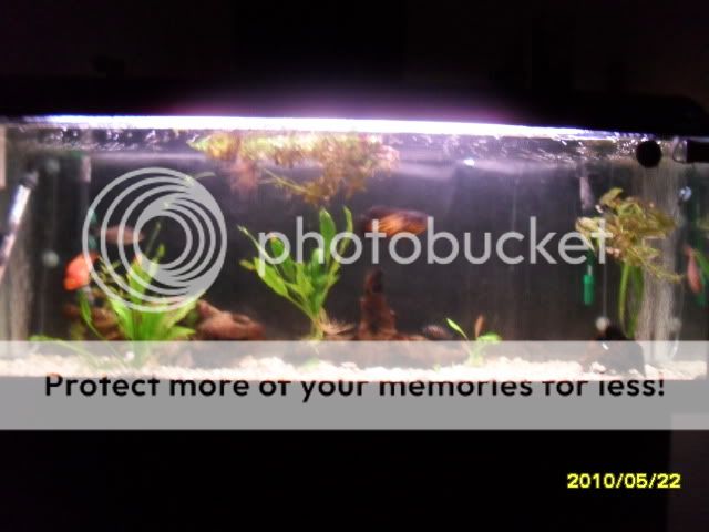 SDC14640.jpg