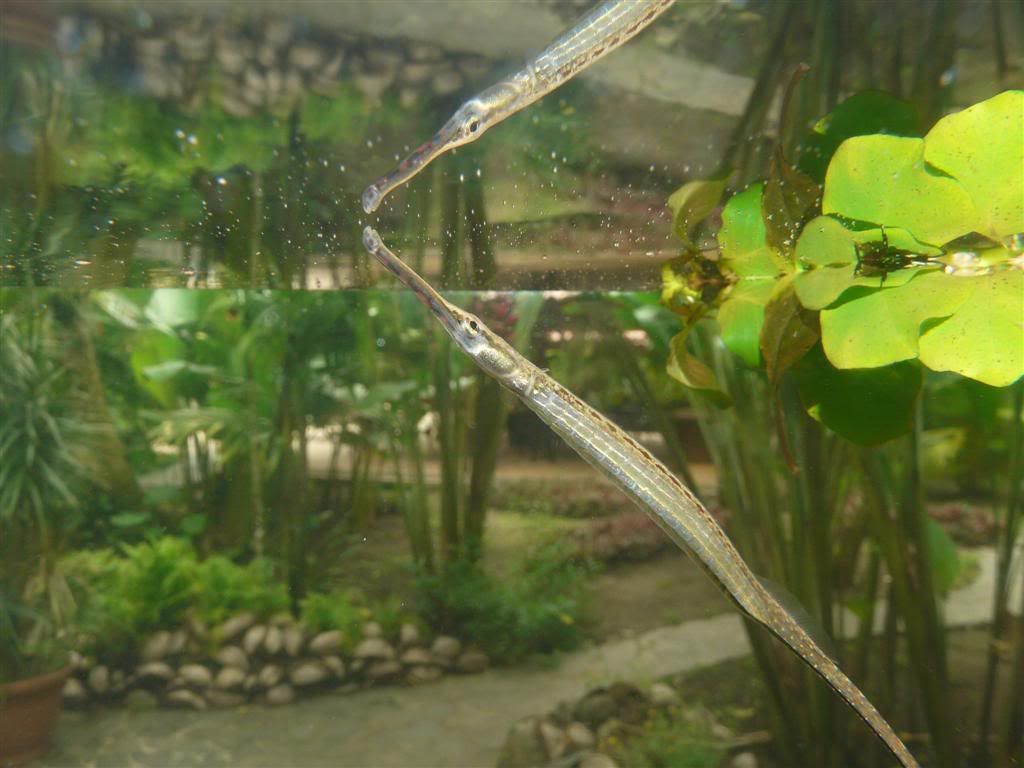 P1030256Large.jpg