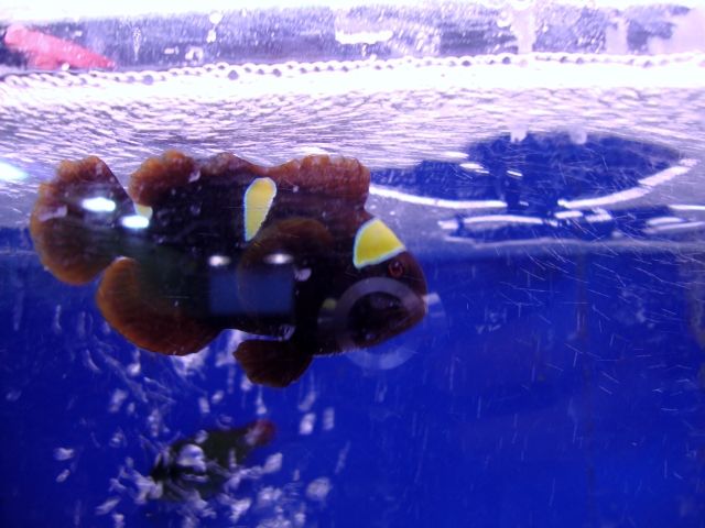 DSC01384.jpg