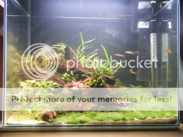 DSCF3247.jpg
