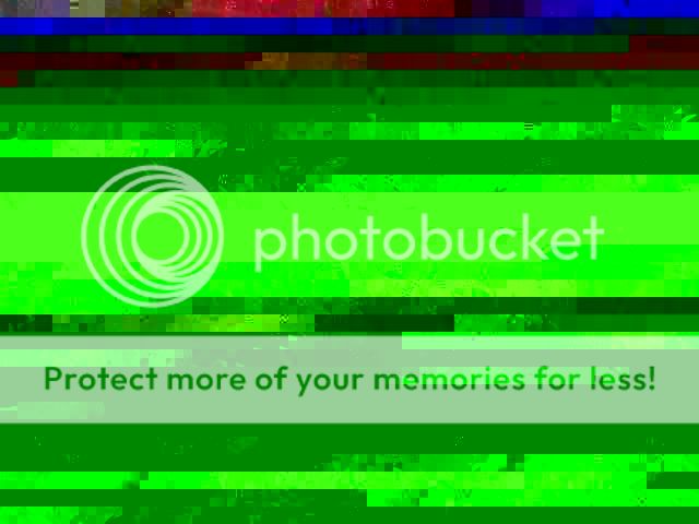 plants1.jpg