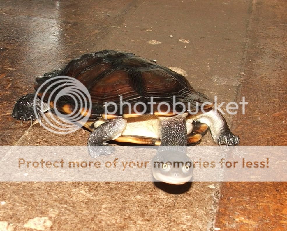 DSCF5305.jpg