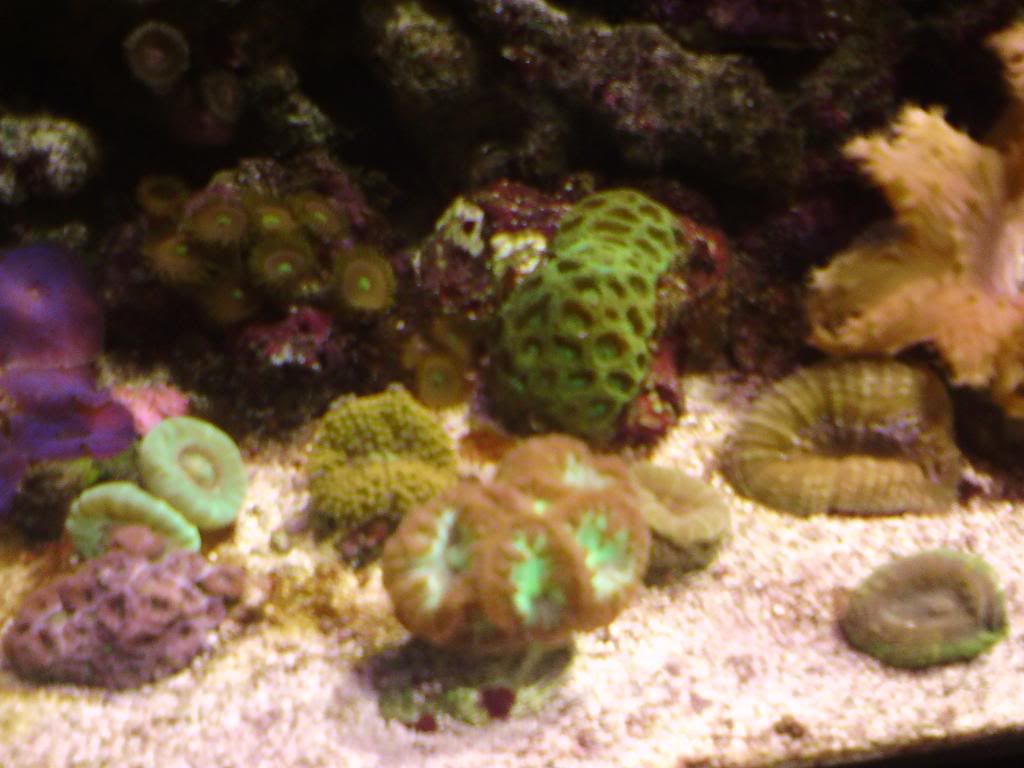CopyofDSC00026.jpg