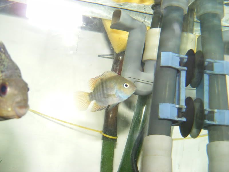 DSCF3298.jpg