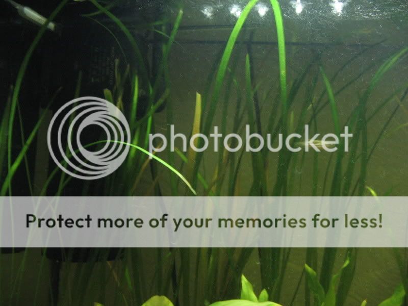 AQUARIUM266014.jpg