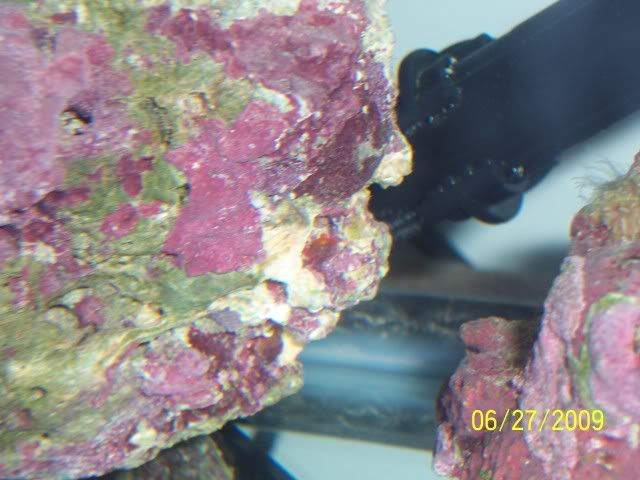 100_6971.jpg