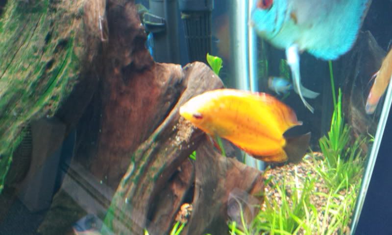 2012-03-27162201.jpg