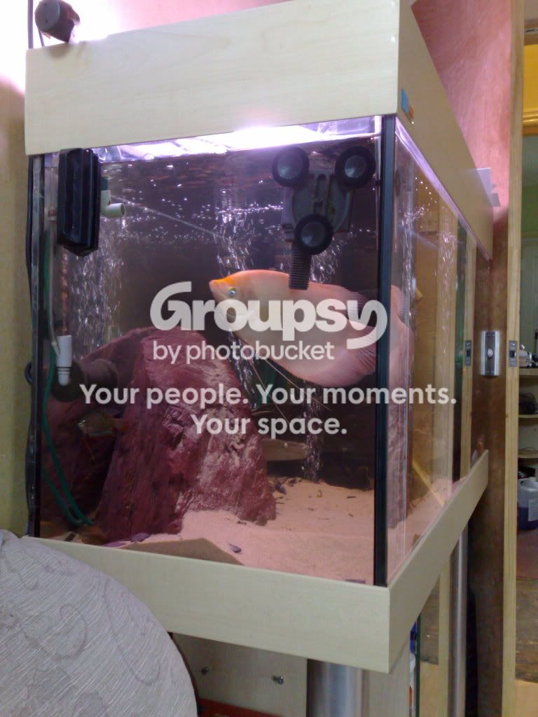 31032009101.jpg