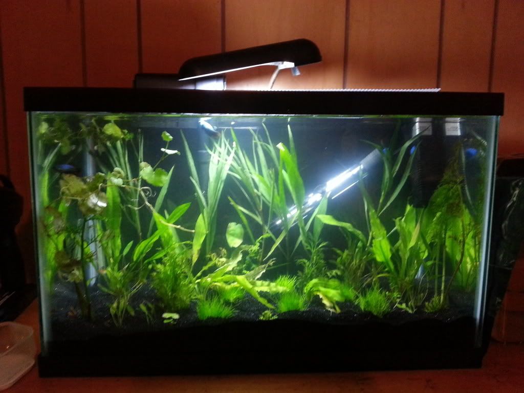 20130819_163522_zps5f29030d.jpg
