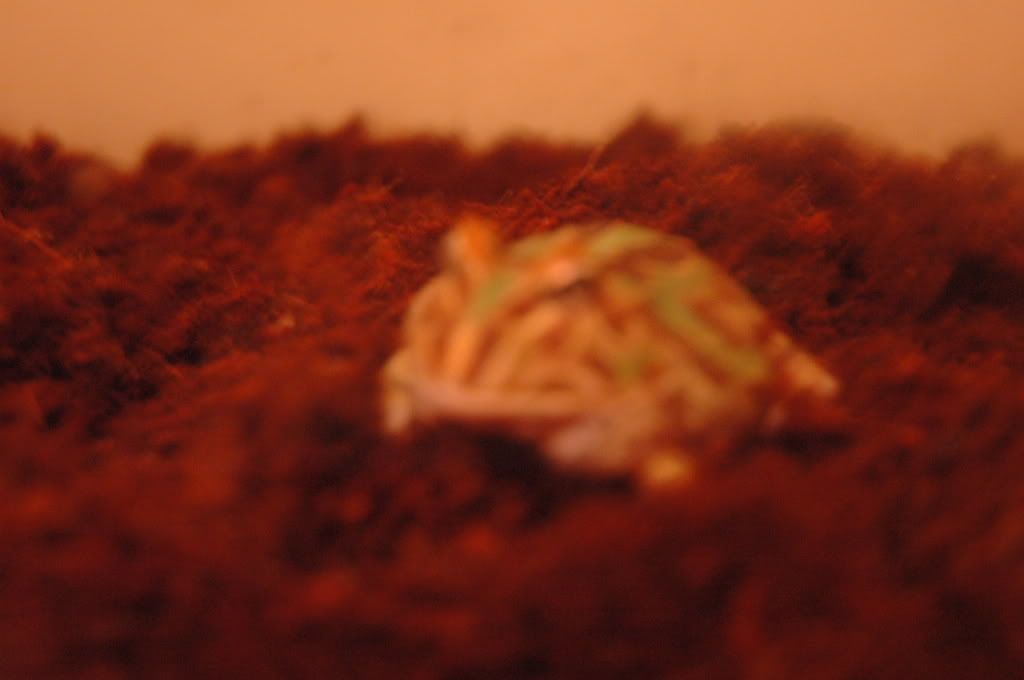 DSC_4147.jpg