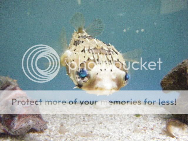 Picture058.jpg