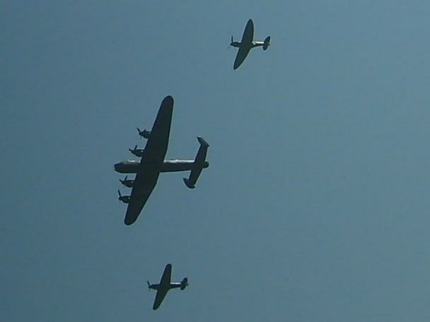 S5006200.jpg