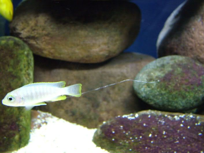 DSCF2120.jpg